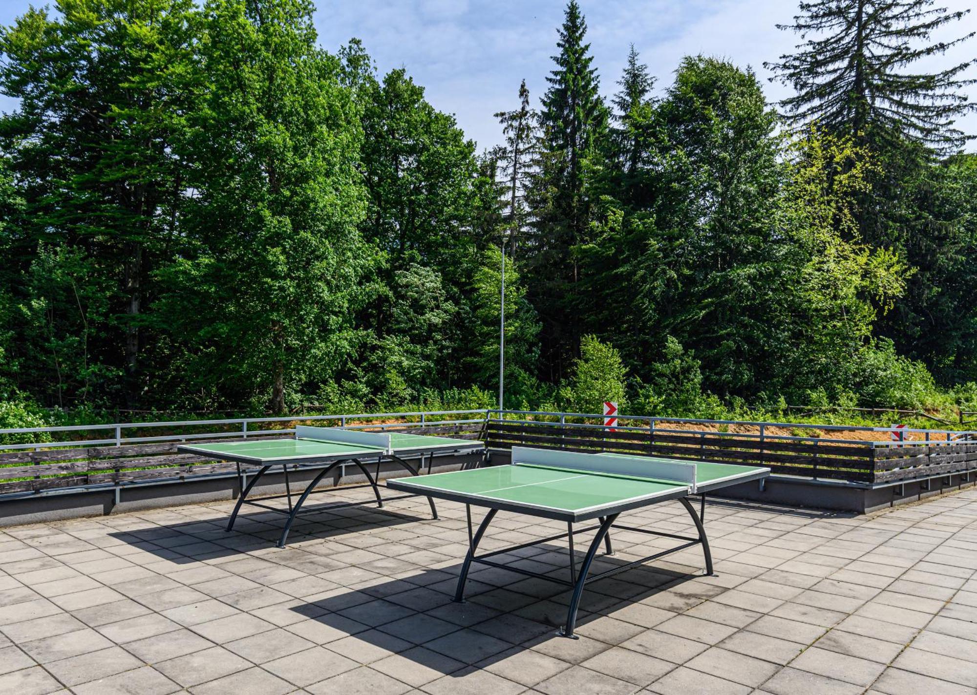 Apartment "Mountain Relax" بويانا براسوف المظهر الخارجي الصورة
