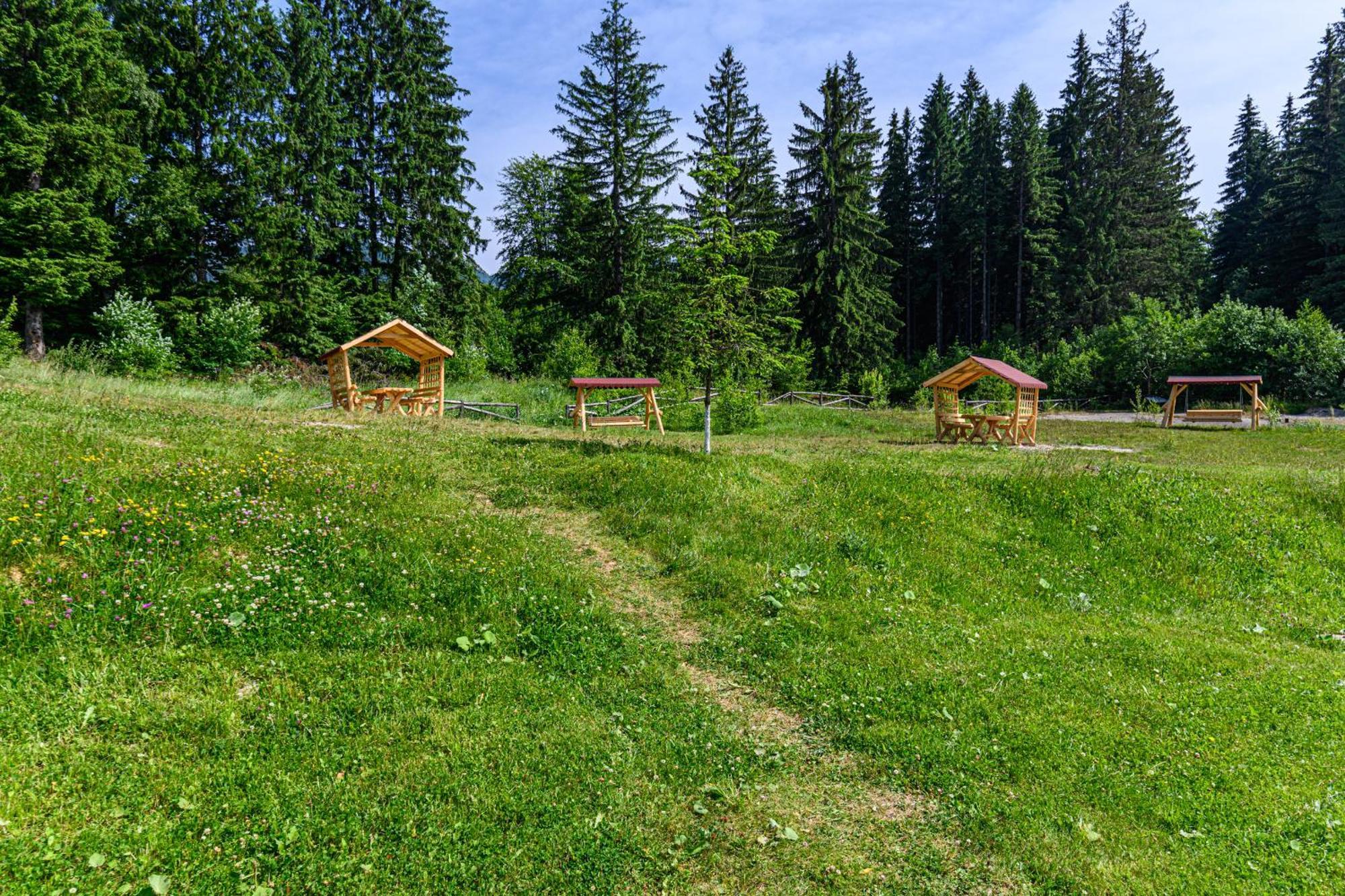 Apartment "Mountain Relax" بويانا براسوف المظهر الخارجي الصورة
